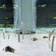 ヒメ日記 2025/06/27 02:48 投稿 戸根 MadameRest(マダムレスト)