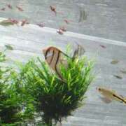 ヒメ日記 2025/06/30 00:00 投稿 戸根 MadameRest(マダムレスト)