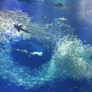 ヒメ日記 2025/07/13 10:39 投稿 戸根 MadameRest(マダムレスト)