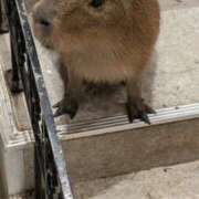 ヒメ日記 2025/07/14 15:51 投稿 戸根 MadameRest(マダムレスト)