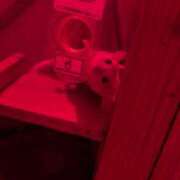 ヒメ日記 2025/07/14 16:32 投稿 戸根 MadameRest(マダムレスト)