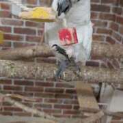 ヒメ日記 2025/07/14 17:04 投稿 戸根 MadameRest(マダムレスト)