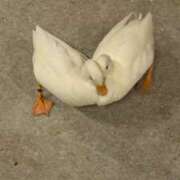 ヒメ日記 2025/07/14 17:34 投稿 戸根 MadameRest(マダムレスト)