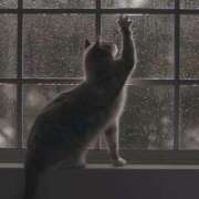 ヒメ日記 2025/07/15 11:59 投稿 戸根 MadameRest(マダムレスト)