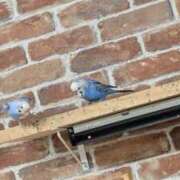 ヒメ日記 2025/07/16 00:01 投稿 戸根 MadameRest(マダムレスト)