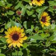 ヒメ日記 2025/07/21 13:34 投稿 戸根 MadameRest(マダムレスト)