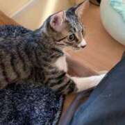 ヒメ日記 2025/07/22 04:00 投稿 戸根 MadameRest(マダムレスト)