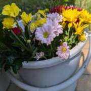 ヒメ日記 2025/08/14 15:11 投稿 戸根 MadameRest(マダムレスト)