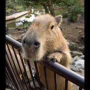 ヒメ日記 2025/08/16 11:49 投稿 戸根 MadameRest(マダムレスト)