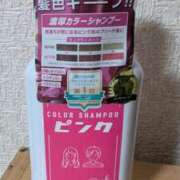 ヒメ日記 2025/08/20 15:15 投稿 戸根 MadameRest(マダムレスト)