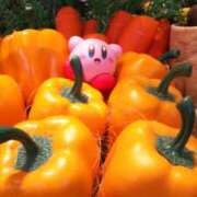 ヒメ日記 2025/08/23 22:39 投稿 戸根 MadameRest(マダムレスト)