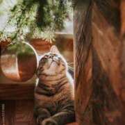 ヒメ日記 2025/09/08 22:45 投稿 戸根 MadameRest(マダムレスト)