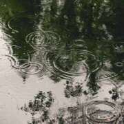 ヒメ日記 2025/09/12 00:53 投稿 戸根 MadameRest(マダムレスト)