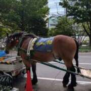 ヒメ日記 2025/09/14 09:45 投稿 戸根 MadameRest(マダムレスト)