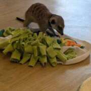 ヒメ日記 2025/09/24 22:40 投稿 戸根 MadameRest(マダムレスト)