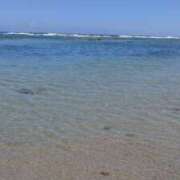 ヒメ日記 2025/09/26 11:50 投稿 戸根 MadameRest(マダムレスト)