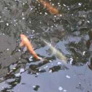 ヒメ日記 2025/10/07 12:35 投稿 戸根 MadameRest(マダムレスト)