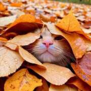 ヒメ日記 2025/10/16 23:22 投稿 戸根 MadameRest(マダムレスト)