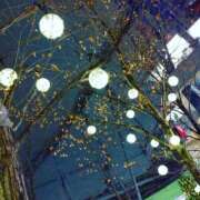 ヒメ日記 2025/10/22 00:51 投稿 戸根 MadameRest(マダムレスト)