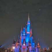 ヒメ日記 2025/11/14 13:12 投稿 戸根 MadameRest(マダムレスト)