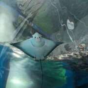 ヒメ日記 2025/11/17 12:27 投稿 戸根 MadameRest(マダムレスト)