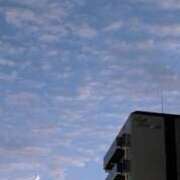 ヒメ日記 2025/11/25 11:30 投稿 戸根 MadameRest(マダムレスト)