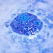 ヒメ日記 2025/11/26 11:39 投稿 戸根 MadameRest(マダムレスト)