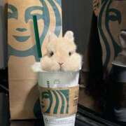 ヒメ日記 2025/11/29 00:34 投稿 戸根 MadameRest(マダムレスト)