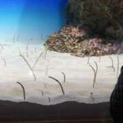 ヒメ日記 2025/12/02 11:35 投稿 戸根 MadameRest(マダムレスト)