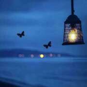 ヒメ日記 2025/12/06 01:20 投稿 戸根 MadameRest(マダムレスト)