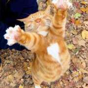 ヒメ日記 2025/12/10 00:27 投稿 戸根 MadameRest(マダムレスト)