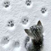 ヒメ日記 2025/12/11 00:59 投稿 戸根 MadameRest(マダムレスト)