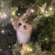 ヒメ日記 2025/12/15 11:01 投稿 戸根 MadameRest(マダムレスト)