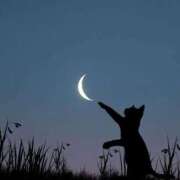 ヒメ日記 2025/12/16 01:02 投稿 戸根 MadameRest(マダムレスト)