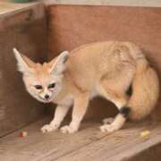 ヒメ日記 2025/12/17 14:46 投稿 戸根 MadameRest(マダムレスト)