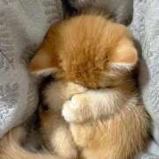 ヒメ日記 2025/12/18 10:43 投稿 戸根 MadameRest(マダムレスト)