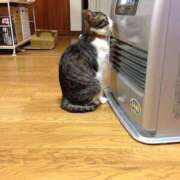 ヒメ日記 2025/12/20 22:47 投稿 戸根 MadameRest(マダムレスト)