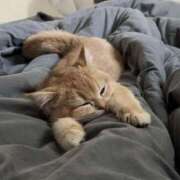 ヒメ日記 2025/12/27 11:24 投稿 戸根 MadameRest(マダムレスト)