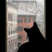 ヒメ日記 2026/01/03 01:00 投稿 戸根 MadameRest(マダムレスト)