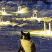 ヒメ日記 2026/01/07 23:52 投稿 戸根 MadameRest(マダムレスト)