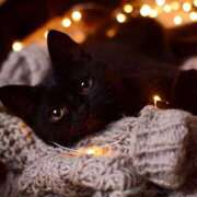 ヒメ日記 2026/01/14 00:51 投稿 戸根 MadameRest(マダムレスト)