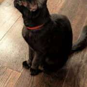 ヒメ日記 2026/01/16 10:31 投稿 戸根 MadameRest(マダムレスト)