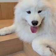 ヒメ日記 2026/01/18 13:01 投稿 戸根 MadameRest(マダムレスト)