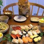 ヒメ日記 2026/02/04 01:53 投稿 戸根 MadameRest(マダムレスト)