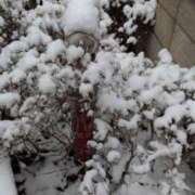 ヒメ日記 2026/02/08 10:52 投稿 戸根 MadameRest(マダムレスト)