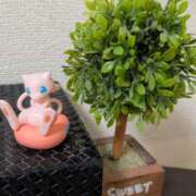 ヒメ日記 2026/02/10 22:51 投稿 戸根 MadameRest(マダムレスト)