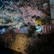 ヒメ日記 2026/02/18 21:09 投稿 戸根 MadameRest(マダムレスト)