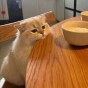 ヒメ日記 2026/02/20 12:54 投稿 戸根 MadameRest(マダムレスト)