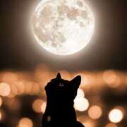 ヒメ日記 2026/02/21 00:15 投稿 戸根 MadameRest(マダムレスト)