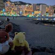 ヒメ日記 2026/02/21 11:31 投稿 戸根 MadameRest(マダムレスト)